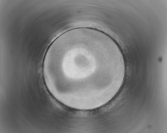 X0000116831521201001151215