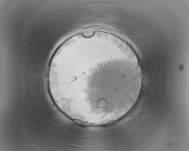 X0000116831522201001151215