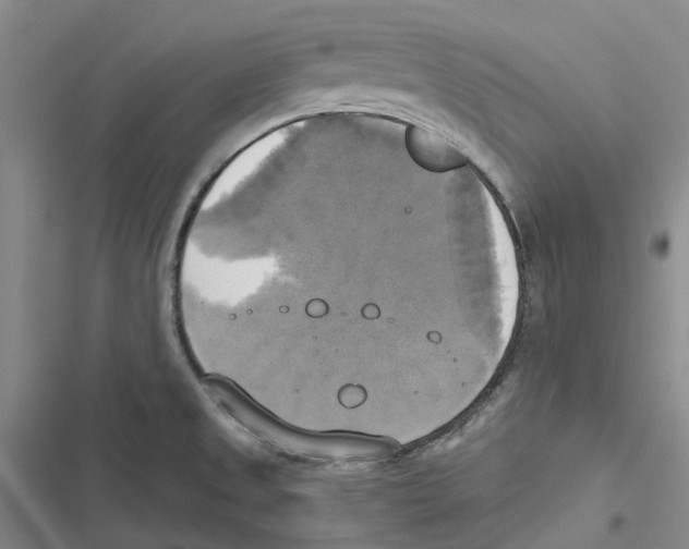 X0000116831525201001151215