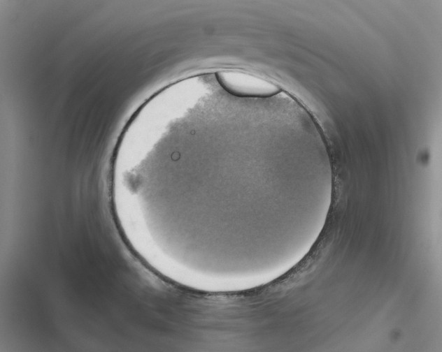 X0000116831527201001151216