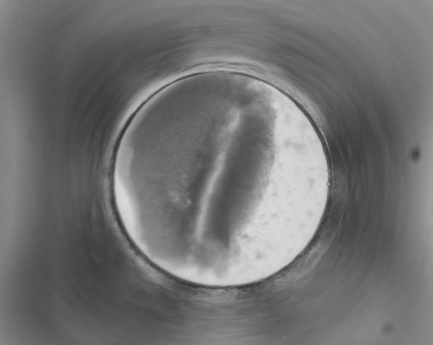 X0000116831533201001151216