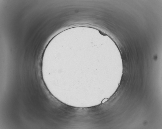 X0000116831534201001151216