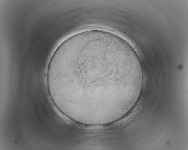 X0000116831535201001151216