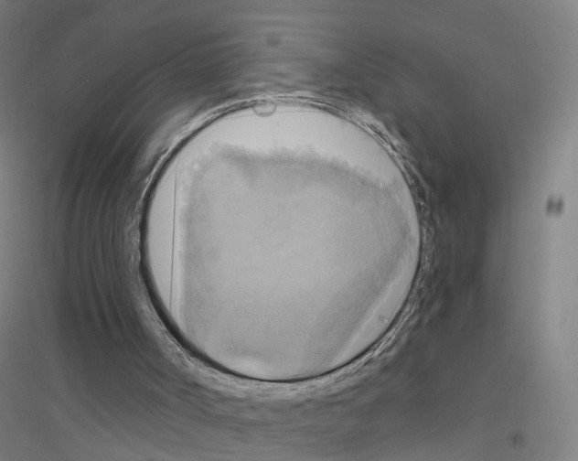 X0000116830002201001291653