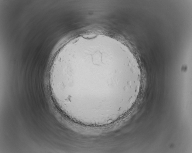 X0000116830004201001291653