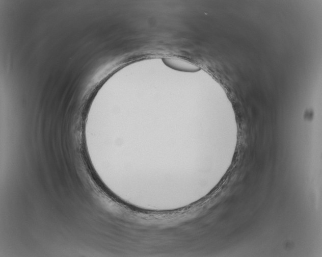 X0000116830005201001291653