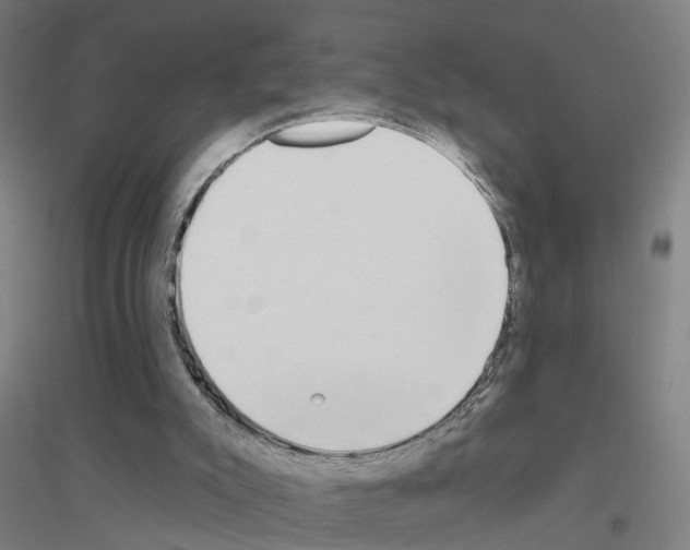 X0000116830007201001291653