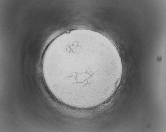 X0000116830008201001291653