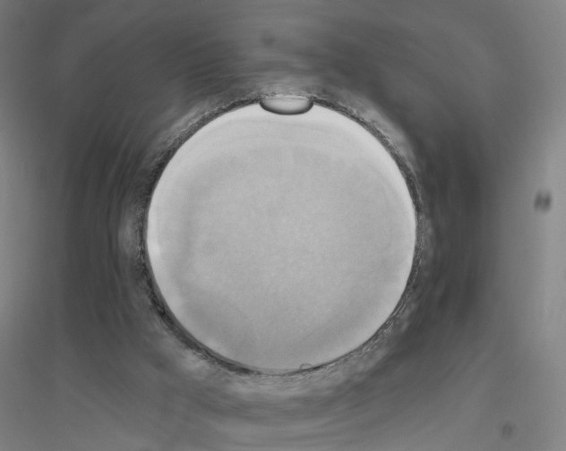 X0000116830009201001291653