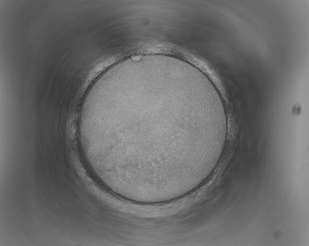 X0000116830010201001291653