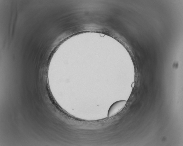 X0000116830011201001291653