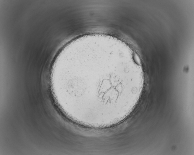 X0000116830012201001291653