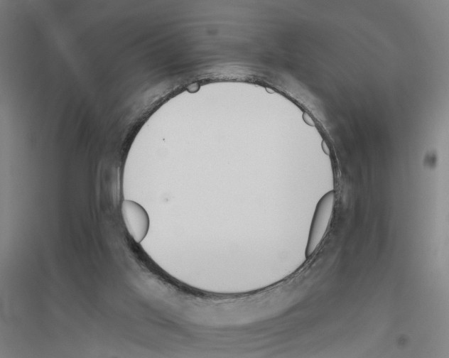 X0000116830013201001291652