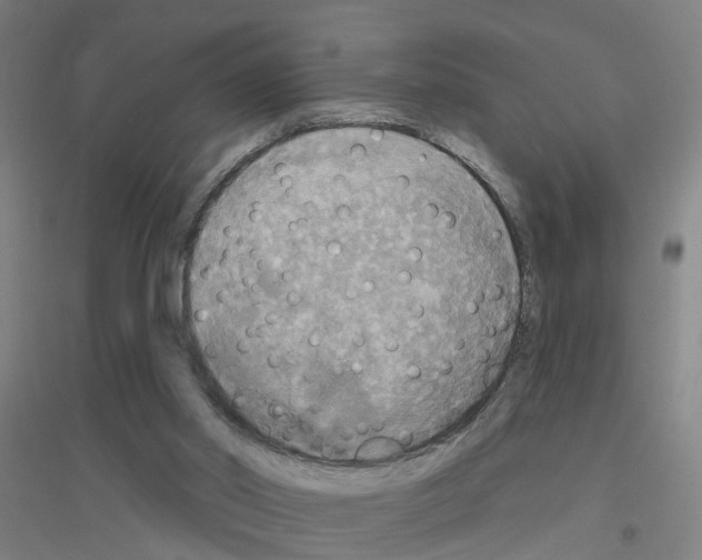 X0000116830014201001291652