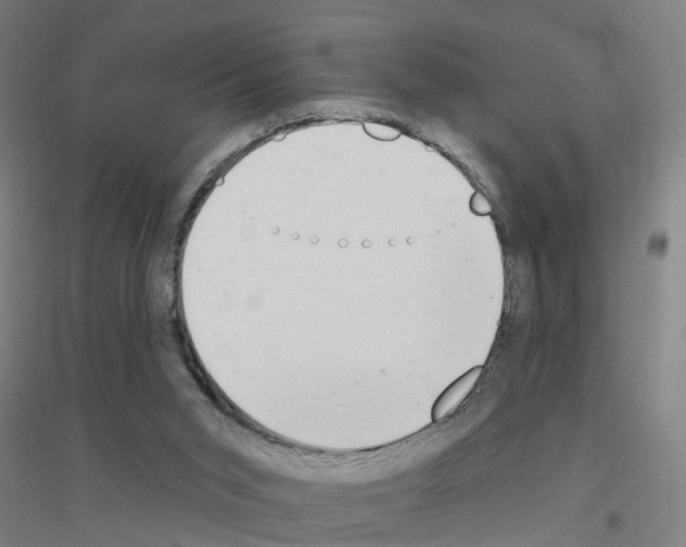 X0000116830015201001291652