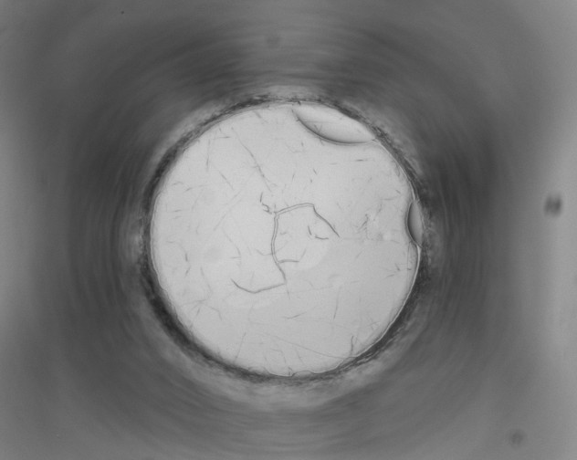 X0000116830016201001291652