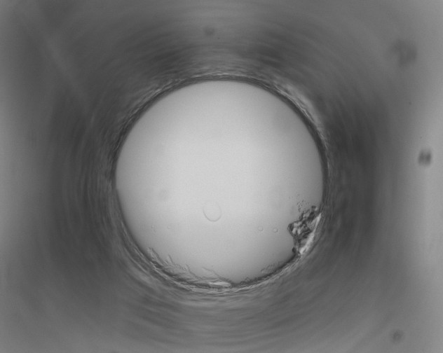 X0000116830017201001291652