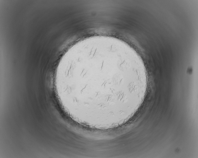 X0000116830020201001291652