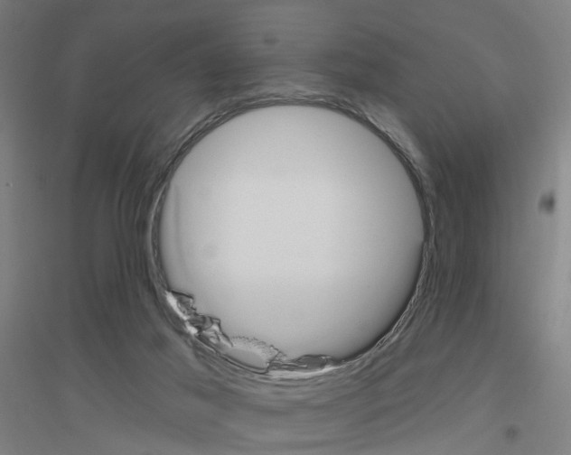 X0000116830021201001291652