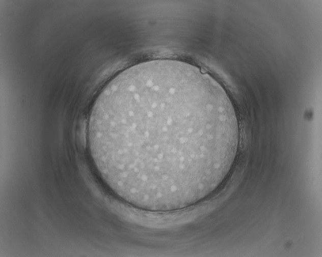 X0000116830022201001291652