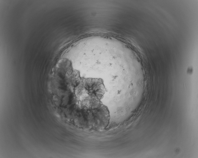 X0000116830024201001291652