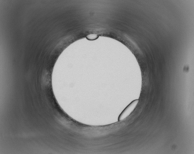 X0000116830025201001291652