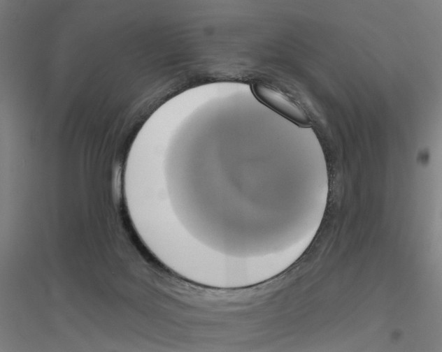 X0000116830027201001291652