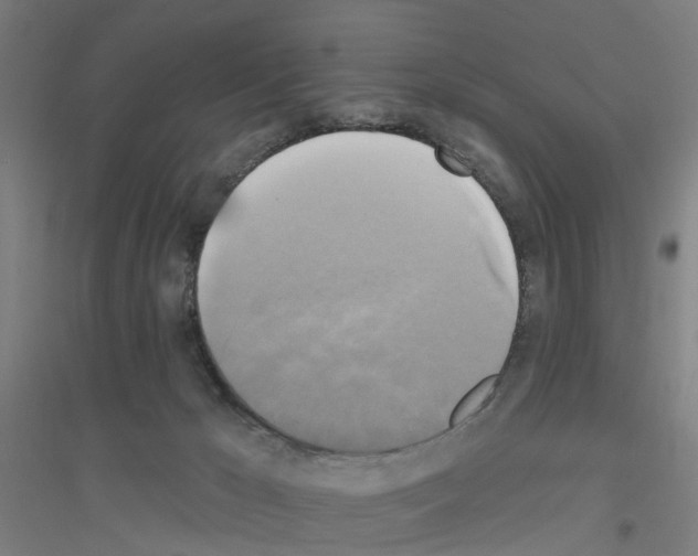 X0000116830029201001291652