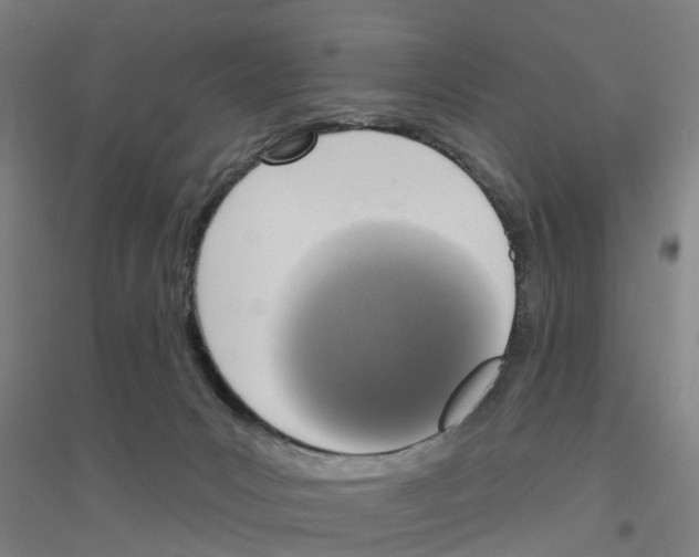 X0000116830031201001291652