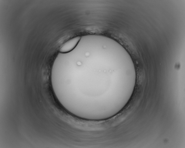 X0000116830032201001291652