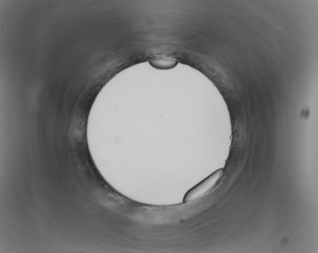 X0000116830033201001291652