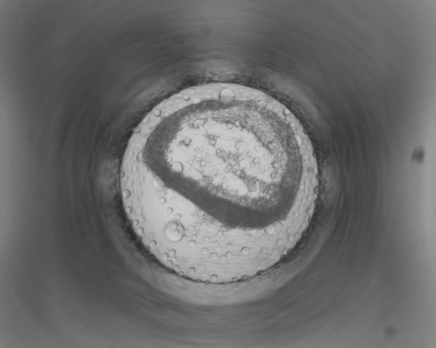 X0000116830034201001291652