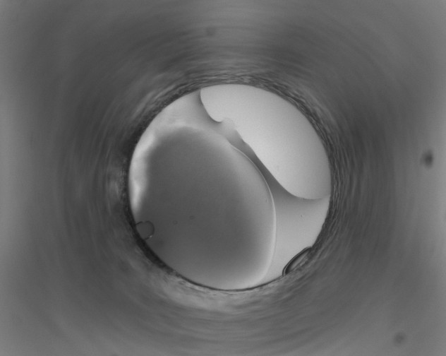 X0000116830035201001291652