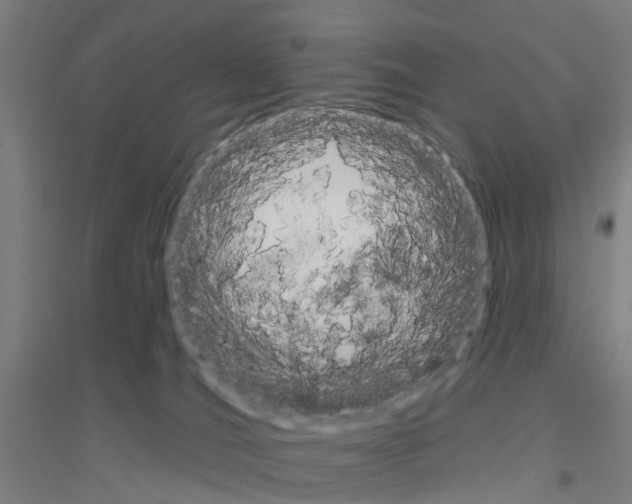 X0000116830036201001291652