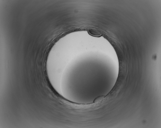 X0000116830039201001291652