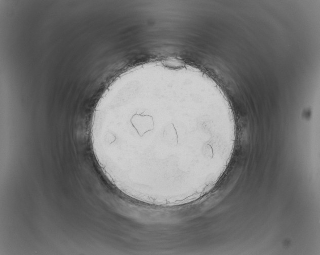 X0000116830040201001291652