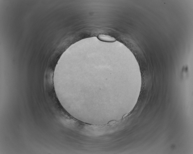 X0000116830041201001291652