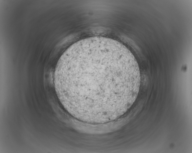 X0000116830042201001291652