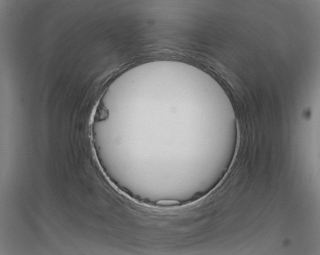 X0000116830043201001291652