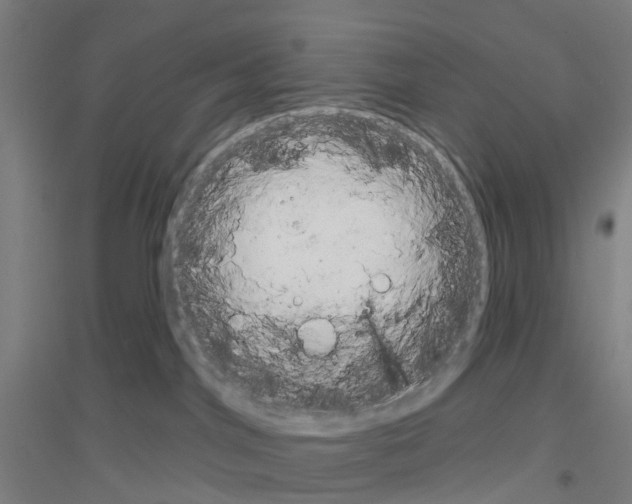 X0000116830044201001291652