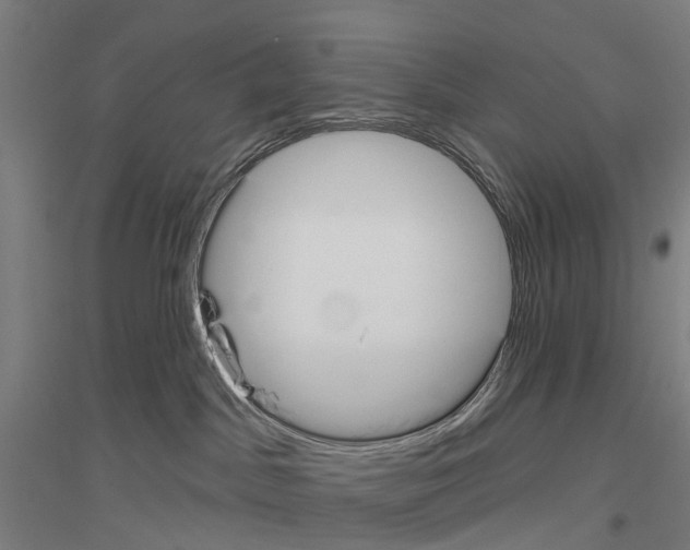 X0000116830045201001291652