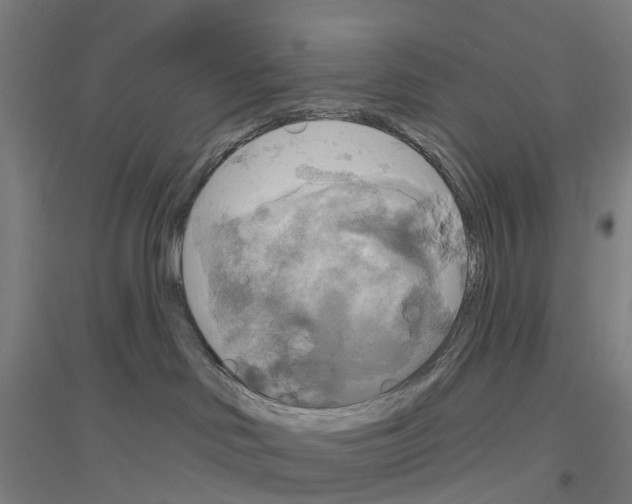 X0000116830046201001291652