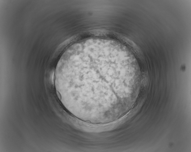 X0000116830047201001291652