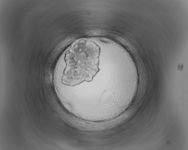 X0000116830048201001291652