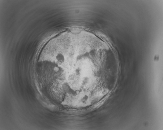 X0000116830049201001291651