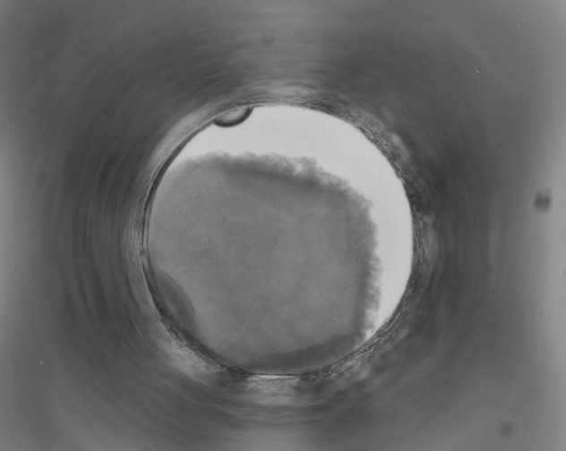 X0000116830051201001291651