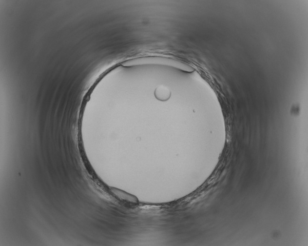 X0000116830052201001291651