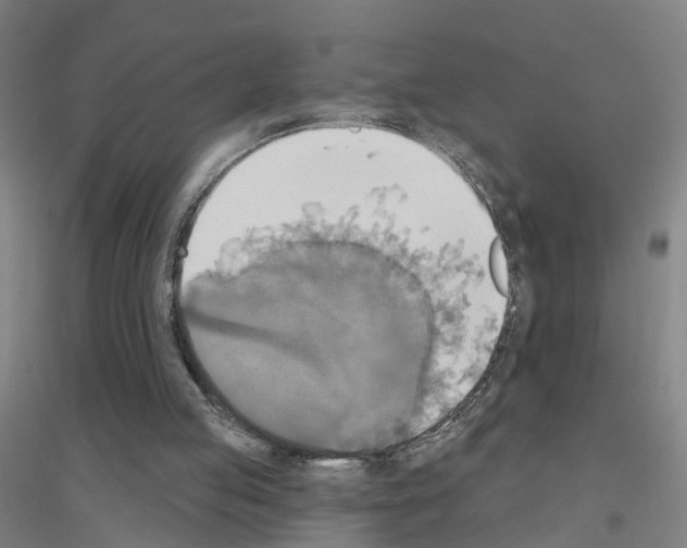 X0000116830053201001291651