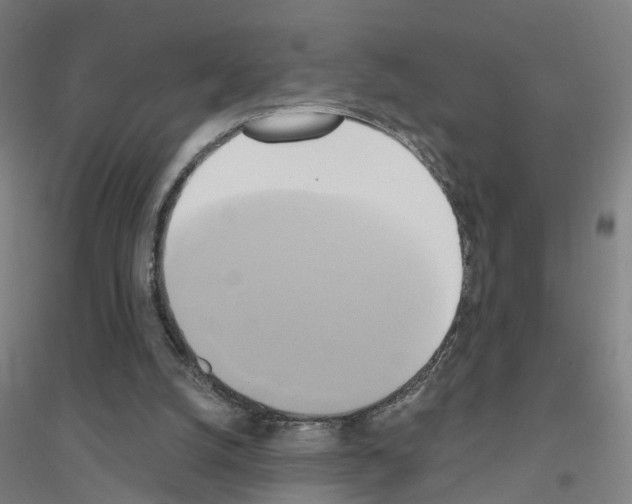 X0000116830056201001291651