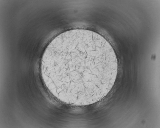 X0000116830058201001291651